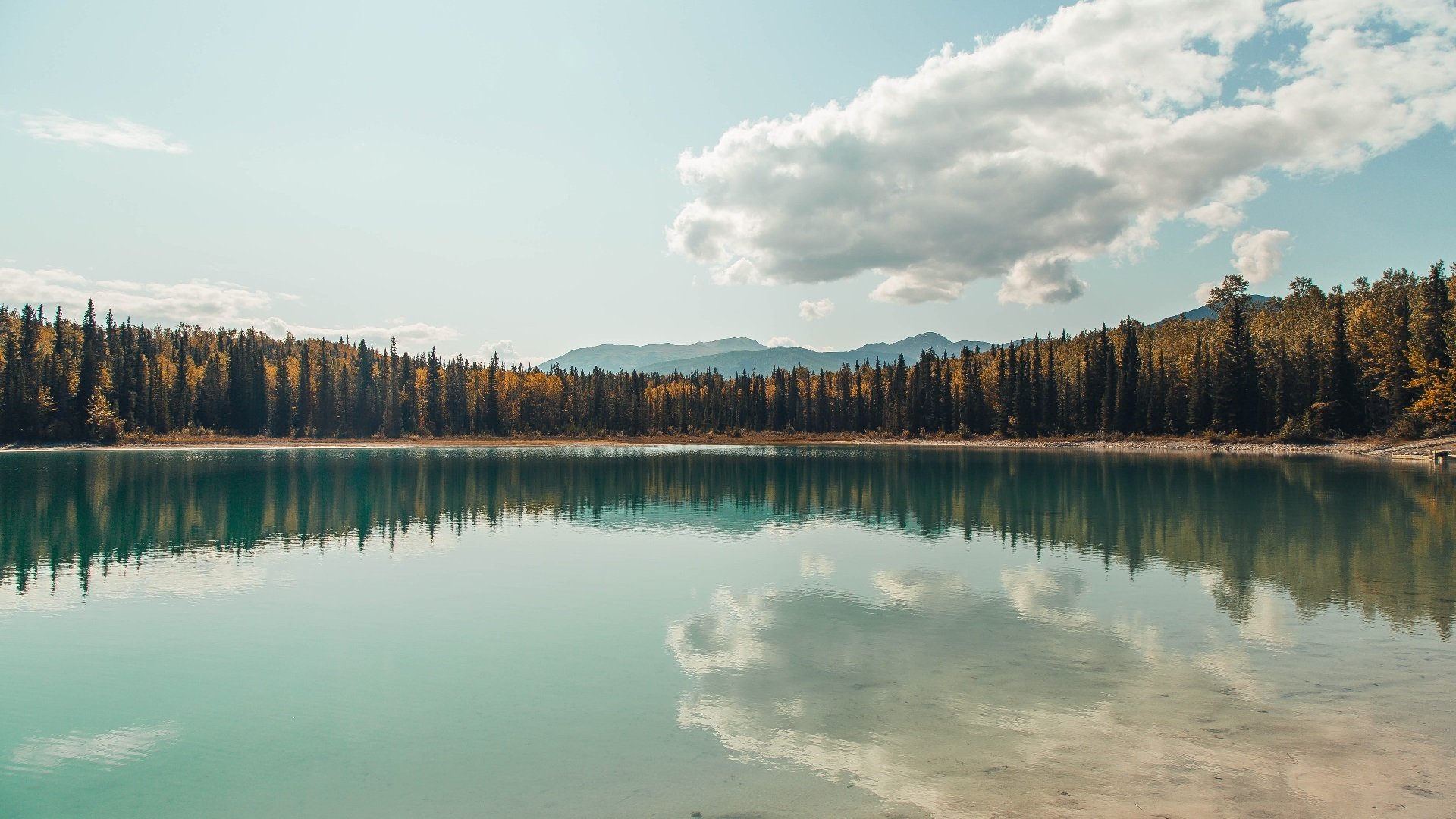 开云体育平台APP-空间裂隙下的费城之舞