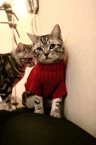 唯一性的证明，从NBA到德甲，统治力的展现