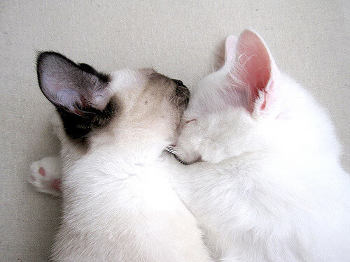 铁骨托起悬崖,托尼如何一人扛起乌拉圭,提前宣判威尔士死刑