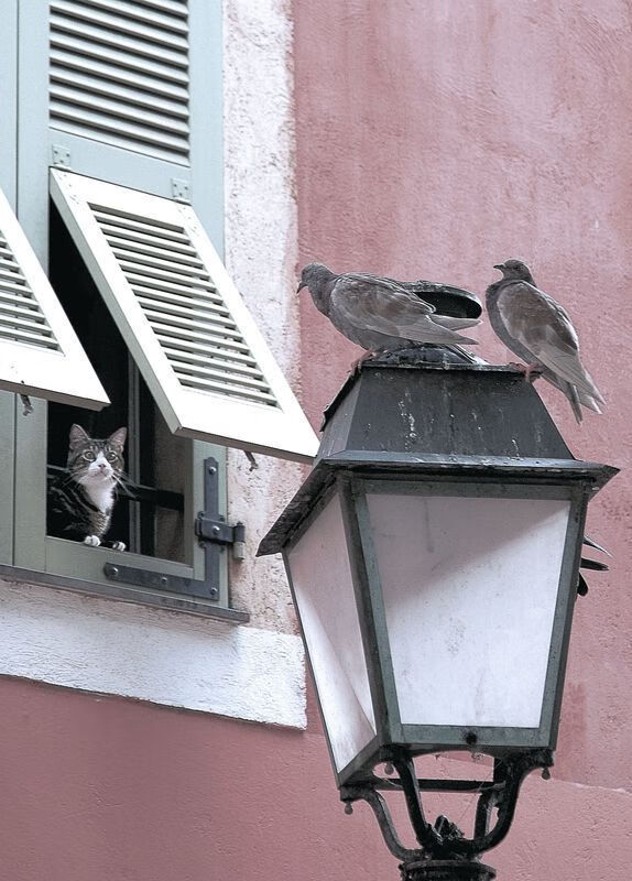 赛道棋局，那个唯一看透三步之后的人