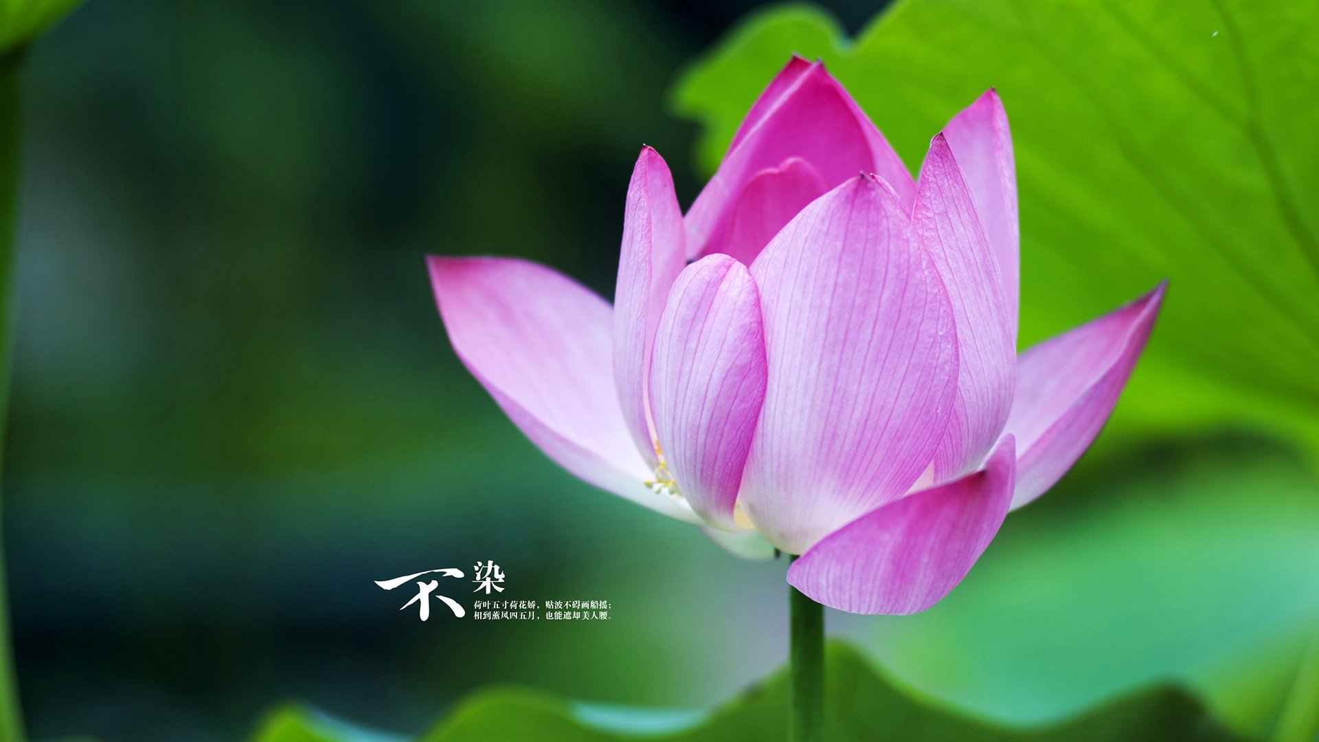 开云体育登录-铁闸的呼吸，当安第斯山脉的窒息防守，扼住了加勒比海的风暴