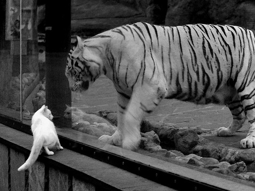 铁王座新王加冕!英格拉姆致命连击终结奇才悬念