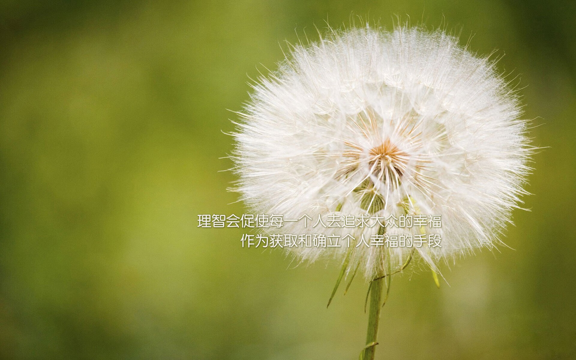 从二轮秀到绝对核心,布伦森爆砍47分,爵士高原客场强势掀翻掘金