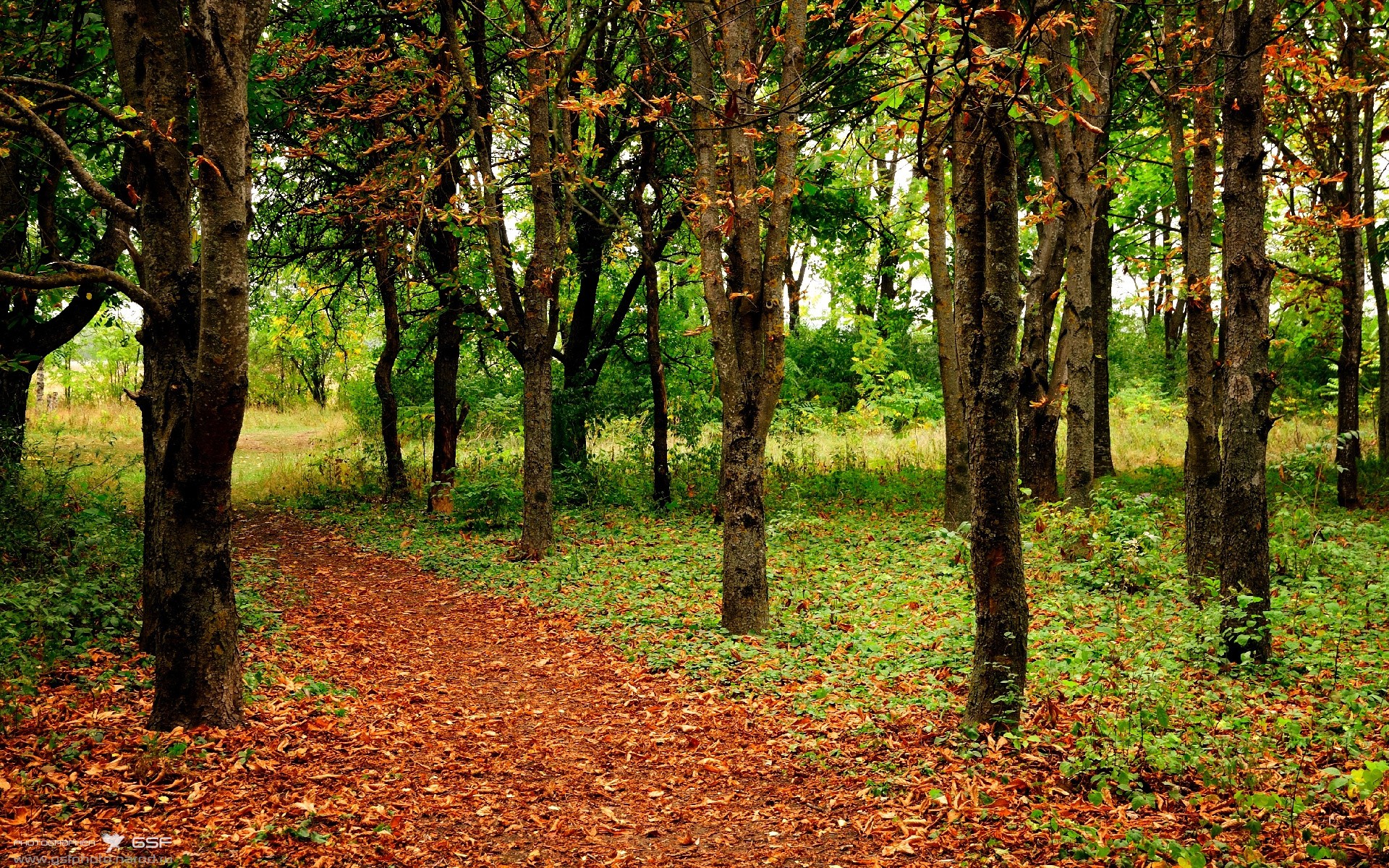 开云体育APP下载-利刃出鞘，哈登关键三分助骑士主场斩杀卫冕冠军