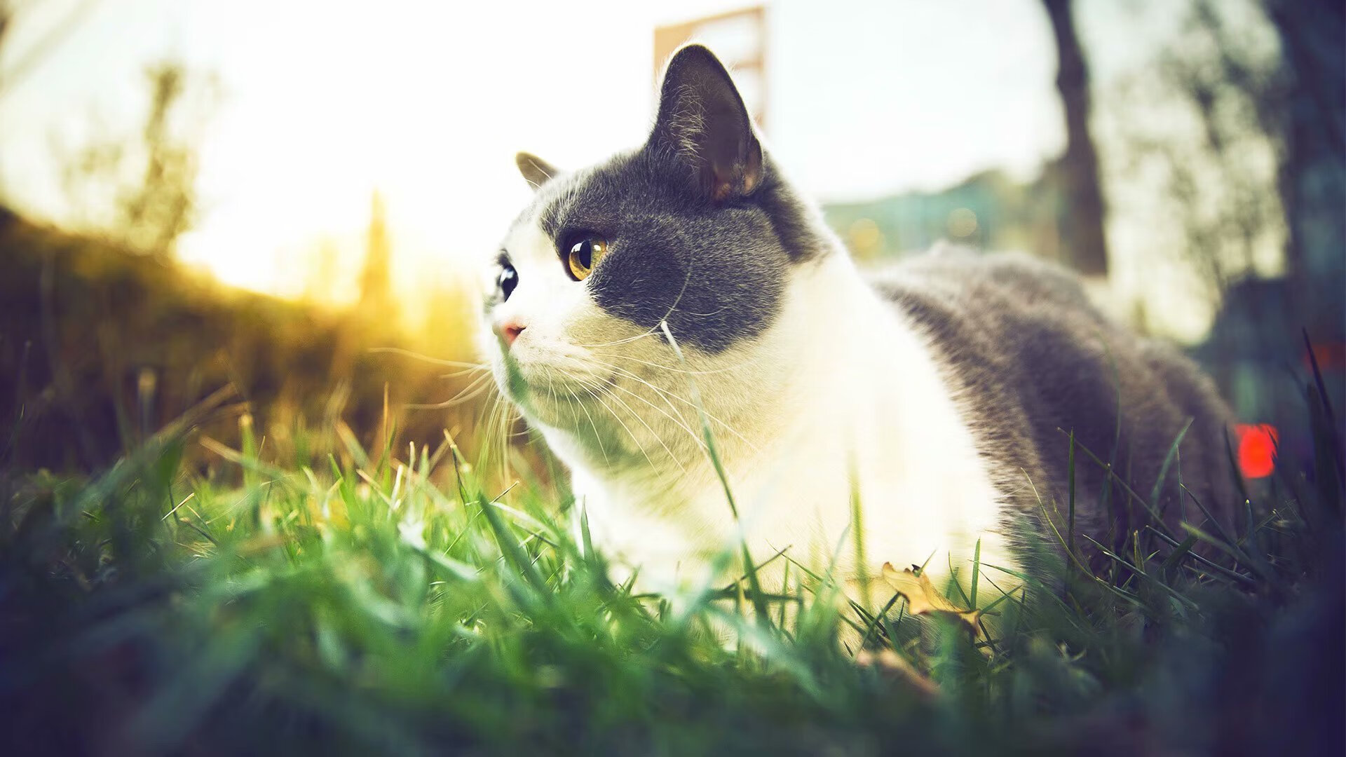 开云sport-铁血阿圭罗锁死爱尔兰，尤文式巅峰对决的非典型赢家法则