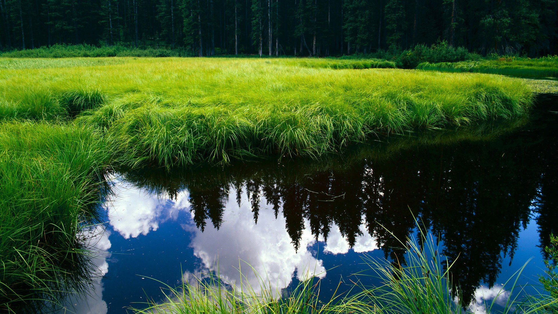 开云体育中国-无声雷霆与钢铁荆棘，篮球哲学的两极胜利