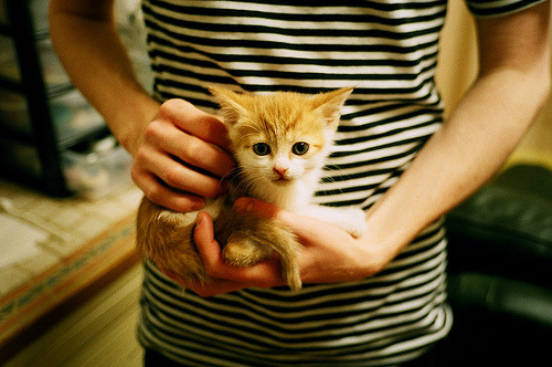 橙色闪电击碎委内瑞拉迷墙，哈兰德在美加墨世界杯的史诗接管