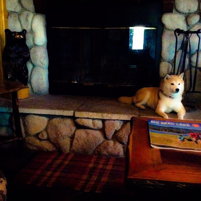 世纪投射,当深圳的韧劲遇见文班亚马的答案