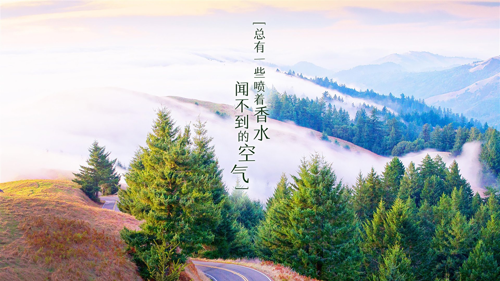 北欧神话的最后一笔,与一个南美老兵的黄昏—2026世界杯G组绝杀夜,苏亚雷斯的唯一答案