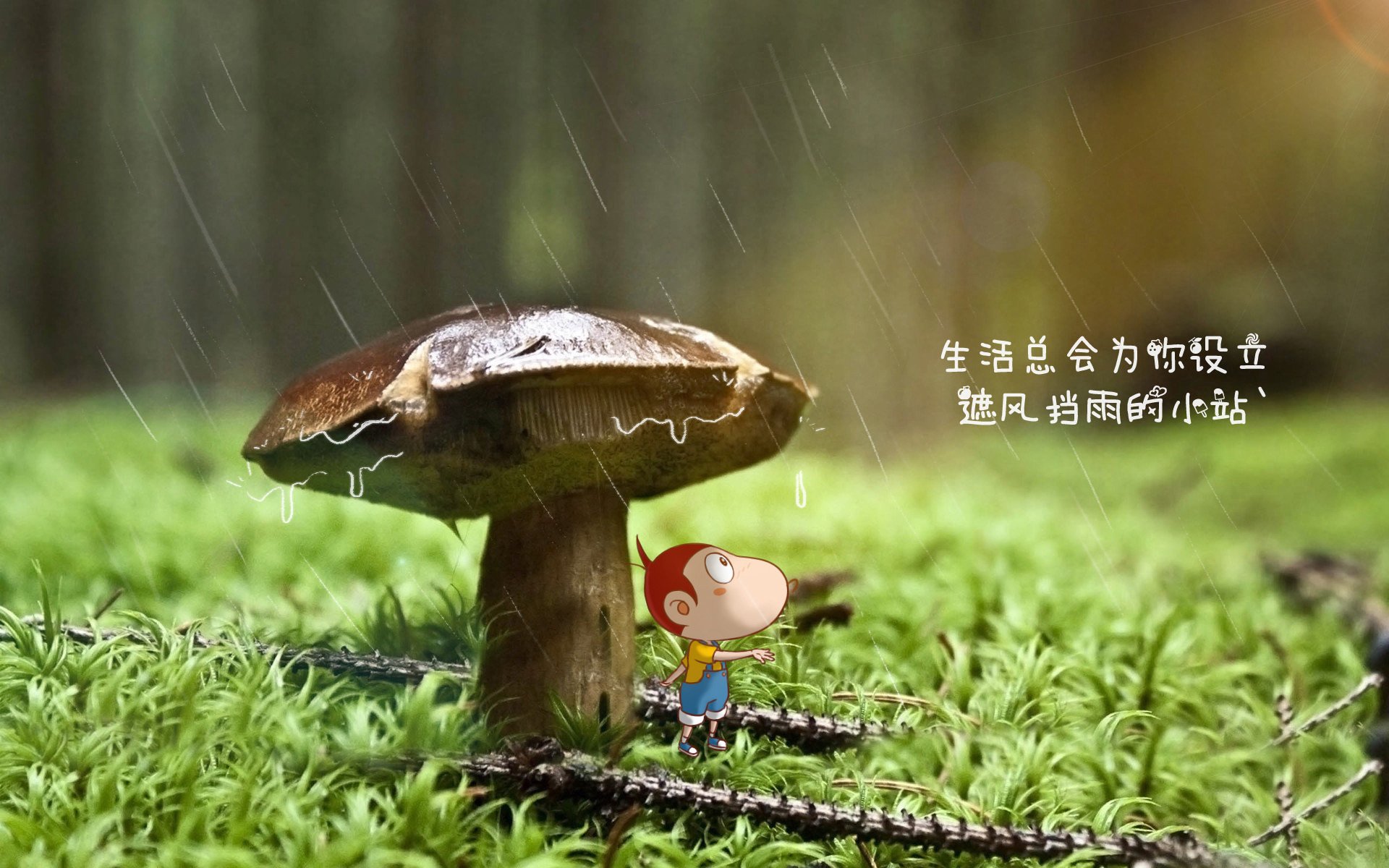 高卢雄鸡啄碎太极虎,南美孤星照亮争议之夜—2026世界杯H组强强对话全景纪实